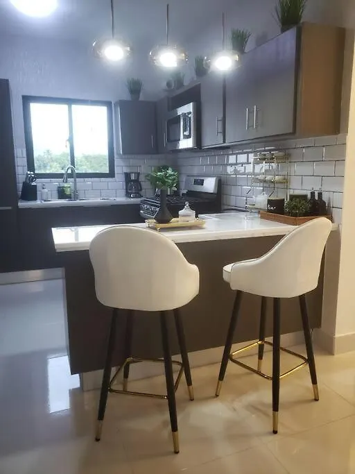 Apartamento Residencia Penthouse, Jacuzzi Calentador Agua Santiago De Los Caballeros República Dominicana
